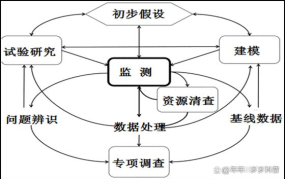 退耕还林政策详细解读：补贴标准及申请流程？